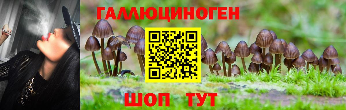 Галлюциногенные грибы прущие грибы Губаха